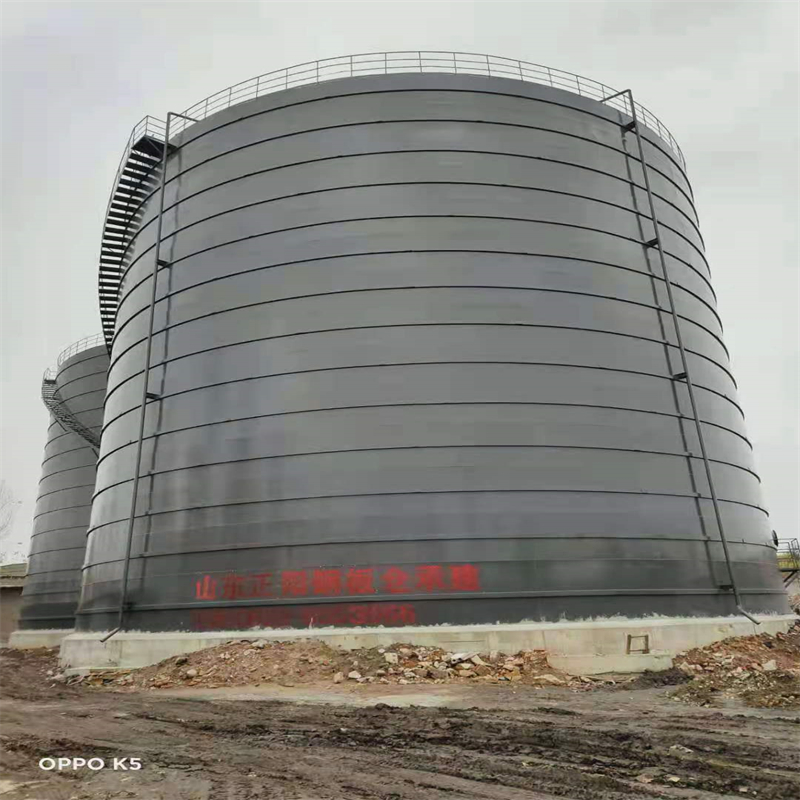 武邑3万吨大型钢板库