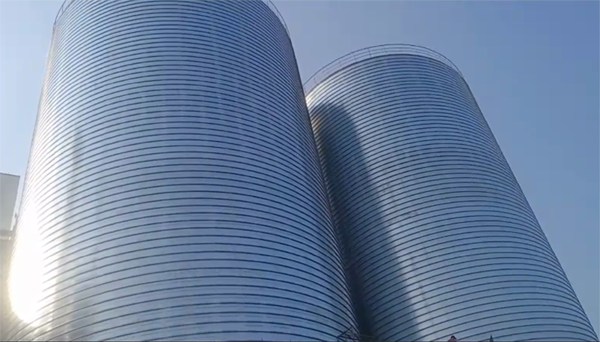 武邑2座混凝土高架卷板仓